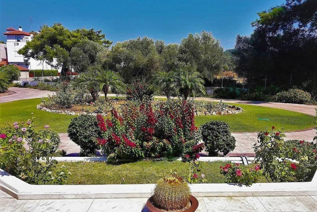 Fiore Di Rodi - Private Pool, Jacuzzi And Barbecue *