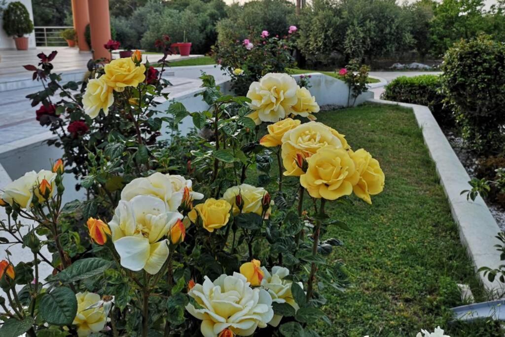 Fiore Di Rodi - Private Pool, Jacuzzi And Barbecue Apartment Ialysos (Rhodes)